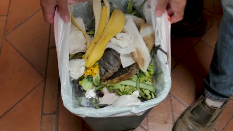 Trusted Redland, AL Junk Removal Services Experts